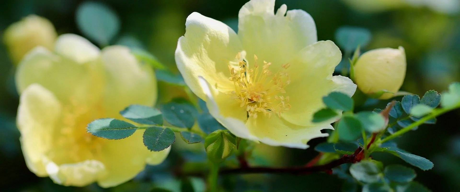 问鼎娱乐娱乐平台